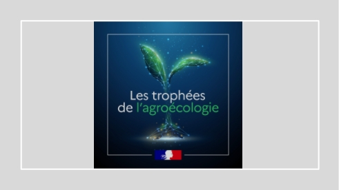 Trophées De L’agroécologie 2024-2025 : à Vos Candidatures ! | DRAAF ...