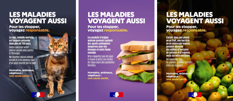 Affiches pr&eacute;sentant les risques