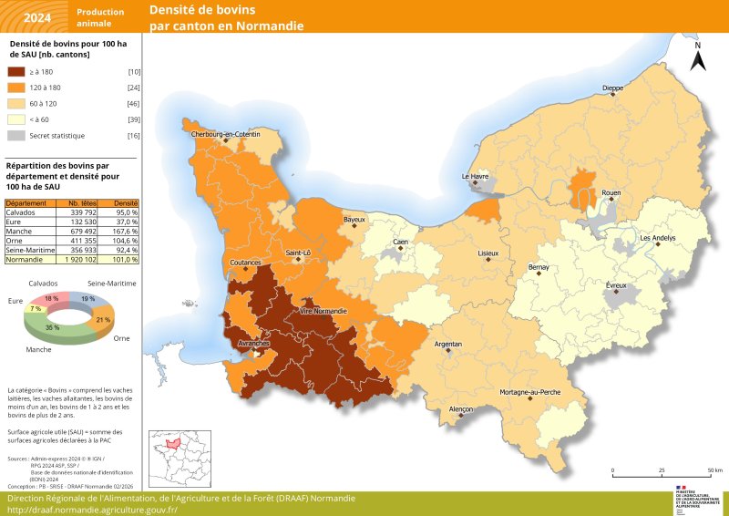 Carte repr&eacute;sentant la densit&eacute; de bovins par canton en Normandie en 2024