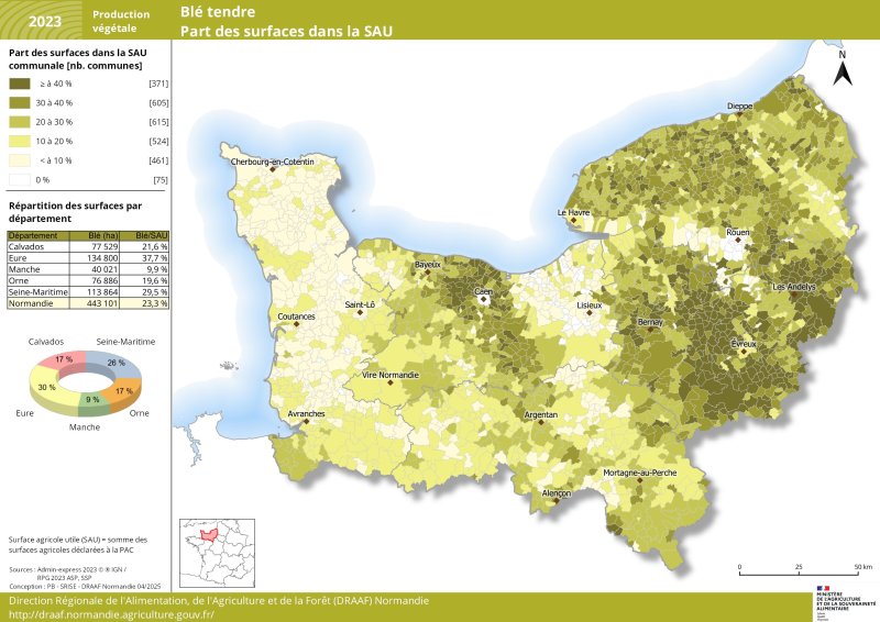En 2023, plus de 443 000 hectares de blé tendre sont cultivés en Normandie soit 23 % de la surface agricole utile régionale. Plus de 56 % de la surface régionale de blé tendre est présente dans l'Eure et la Seine-Maritime. Dans l'Eure, le blé tendre concerne plus de 37 % de la surface agricole utile de ce département. Le jeu de données associé à cette carte est disponible en téléchargement sous la carte. 