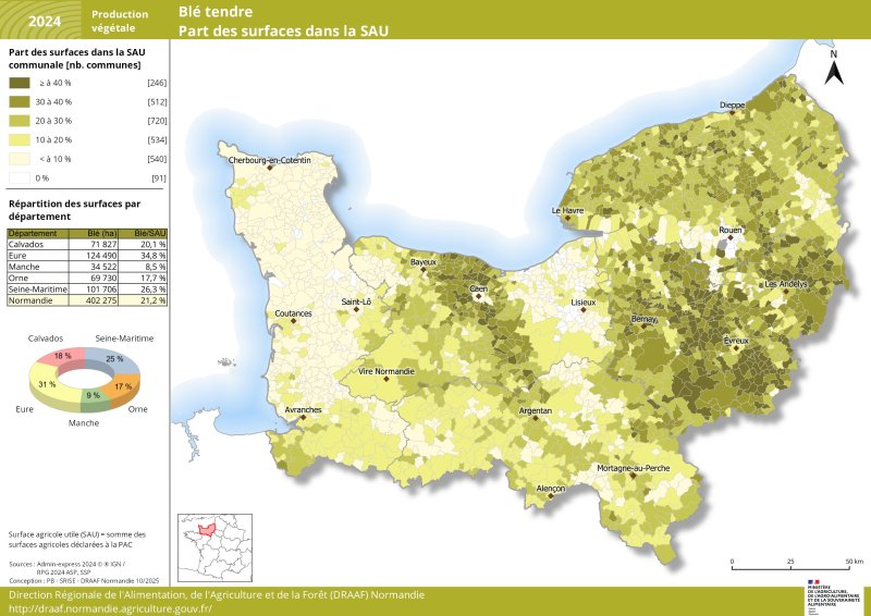 Carte représentant la part des surfaces de blé tendre par commune en Normandie en 2024
