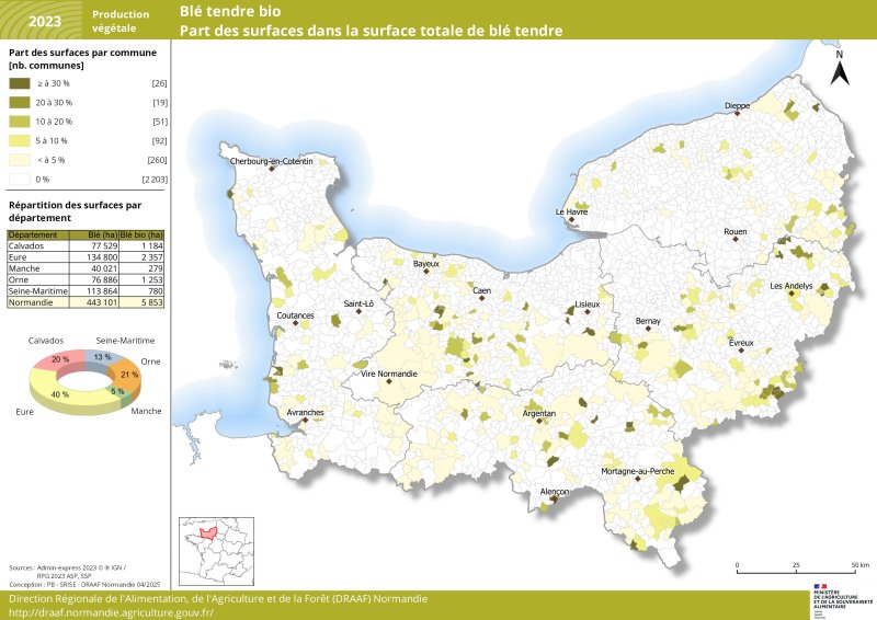 En 2023, les surfaces de blé tendre biologique sont réparties sur l'ensemble du territoire normand (près de 5900 ha). Elles sont davantage présentes dans l'Eure (2357 ha), l'Orne (1253 ha, )le Calvados (1184 ha), et en moindre mesure dans le département de Seine-Maritime (780 ha). Seuls 5 % des surfaces de blé bio normand sont localisées dans le département de la Manche. Un jeu de données relatif à cette carte est disponible sous la carte.