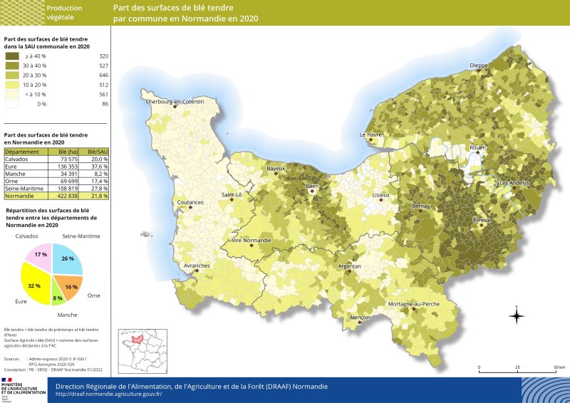 carte représentant la part des surfaces de blé tendre par commune en Normandie en 2020