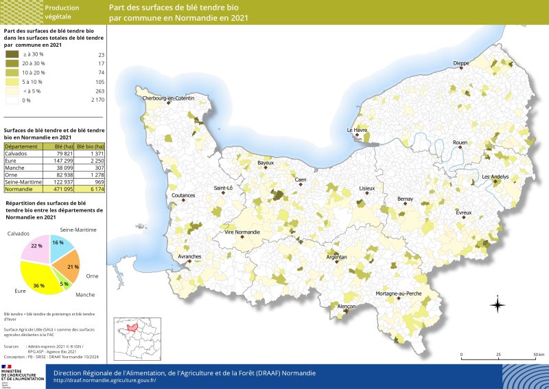 En 2021, les surfaces de blé tendre biologique sont réparties sur l'ensemble du territoire normand (près de 6200 ha). Elles sont davantage présentes dans l'Eure (2250 ha), le Calvados (1371 ha) et l'Orne (1278 ha), et en moindre mesure dans le département de Seine-Maritime (969 ha). Seuls 5 % des surfaces de blé bio normand sont localisées dans le département de la Manche. 