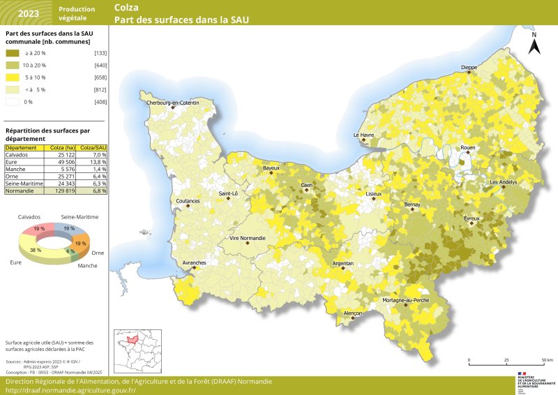 Près de 130 000 hectares de colza sont cultivés en Normandie en 2023 dont 38 % dans l'Eure. Le reste des surfaces de colza est cultivé dans le calvados, la Seine Maritime et l'Orne à hauteur de 19 % chacun. On ne compte que 4 % de la surface agricole utile régionale dans la Manche consacrée à la culture du colza. Le jeu de données associé à cette carte est disponible en téléchargement sous la carte. 