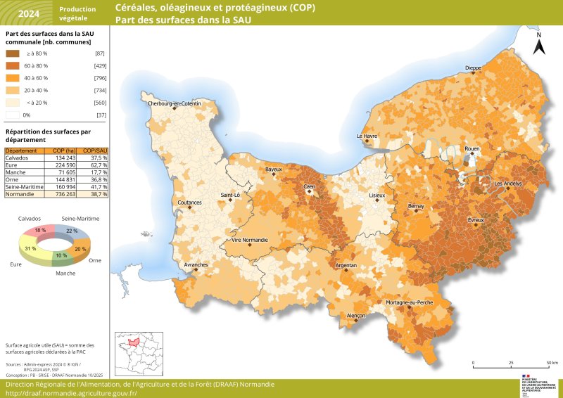 Carte représentant la part des surfaces de céréales, oléagineux et protéagineux (COP) par commune en Normandie en 2024