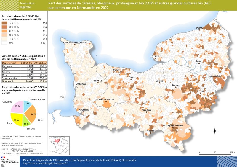 A l'échelle de la région Normandie, la part des surfaces de céréales, oléagineux et protéagineux biologiques et autres grandes cultures bio représentent près de 20 % de la SAU bio communale en 2022. Cette part atteint près de la moitié dans le département de l'Eure. Ces surfaces sont majoritairement réparties dans les départements de l'Orne, du Calvados et de l'Eure soit 77 %. Elles sont moins présentes dans la Manche et en Seine Maritime avec respectivement 11 % et 12 % des surfaces normandes. 