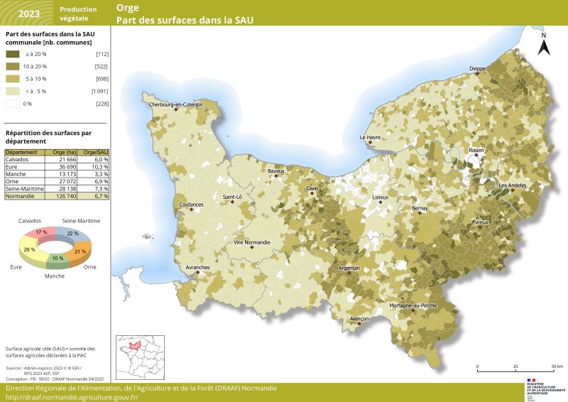 En 2023, près de 127 000 hectares d'orge sont cultivés en Normandie soit 6,7 % de la surface agricole utile régionale. Cette culture est présente sur tout le territoire normand, un peu plus dans l'Eure (29 % des surfaces agricoles utiles régionales d'orge soit 36 700 hectares et 10,3 % de la surface agricole utile du département). Le jeu de données associé à cette carte est disponible en téléchargement sous la carte. 