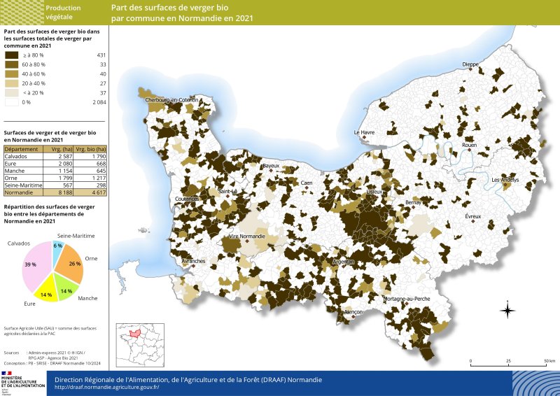 On compte plus de 8 000 ha de vergers normands en 2021, majoritairement situés dans les départements du Calvados et de l'Eure. Plus de 50 % des vergers normands sont produits en agriculture biologique. C'est dans le département du Calvados que la part des surfaces en vergers bio sur la totalité des surfaces de verger présent dans le département est la plus importante (près de 70%). 