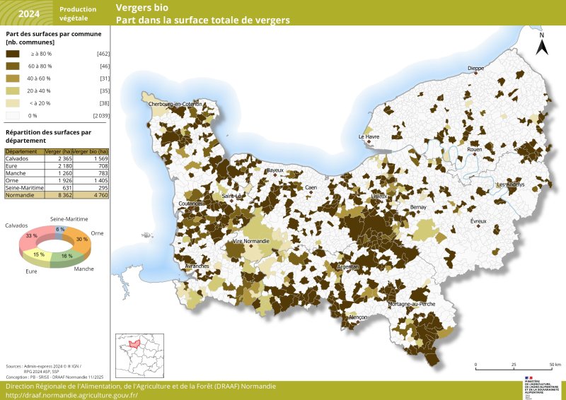 Carte représentant la part des surfaces de vergers bio par commune en Normandie en 2024